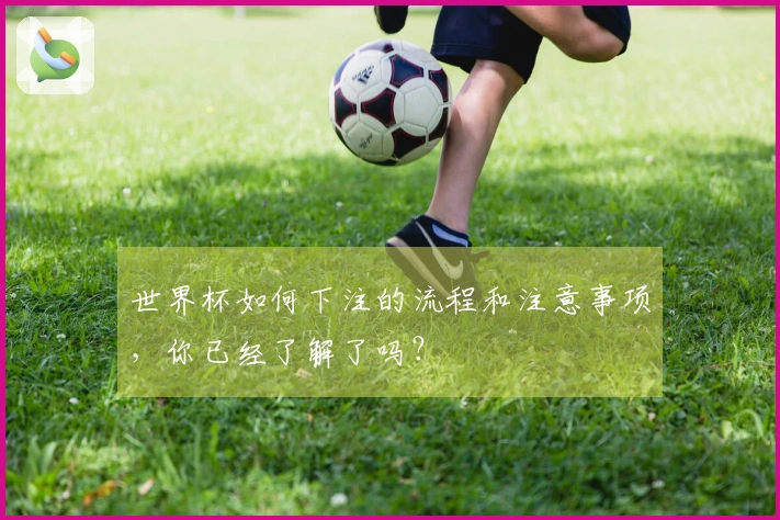 世界杯如何下注的流程和注意事项，你已经了解了吗？