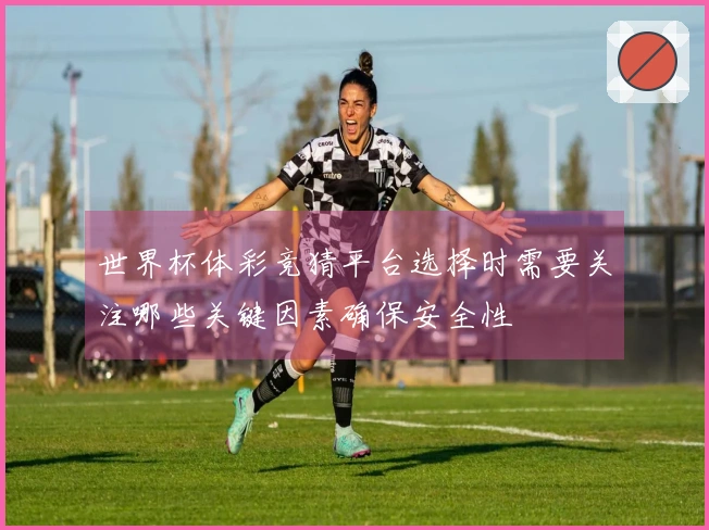世界杯体彩竞猜平台选择时需要关注哪些关键因素确保安全性