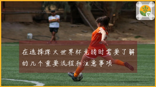 在选择烽火世界杯竞猜时需要了解的几个重要流程和注意事项