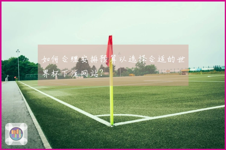 如何合理安排预算以选择合适的世界杯下注网站？
