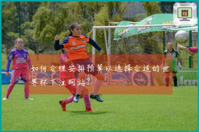 如何合理安排预算以选择合适的世界杯下注网站？