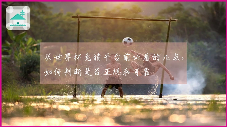 买世界杯竞猜平台前必看的几点，如何判断是否正规和可靠