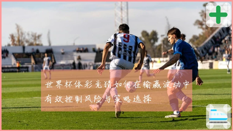 世界杯体彩竞猜如何在输赢波动中有效控制风险与策略选择