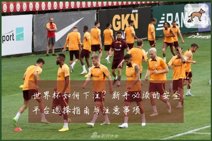 世界杯如何下注？新手必读的安全平台选择指南与注意事项