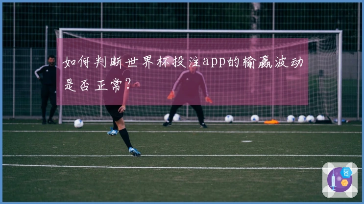 如何判断世界杯投注app的输赢波动是否正常？