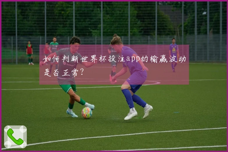 如何判断世界杯投注app的输赢波动是否正常？